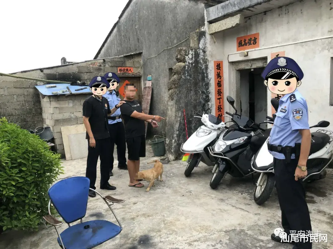 海丰 这个犯罪团伙,被“团灭”...