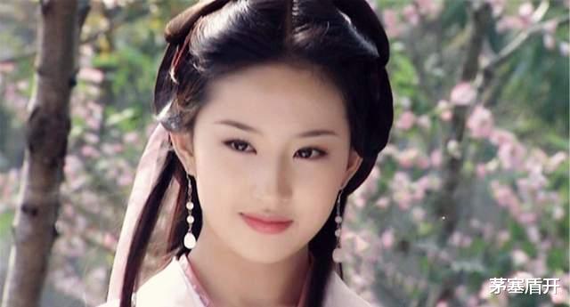 天龙八部|漫谈胡军版《天龙八部》中的美女演员