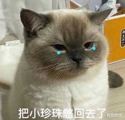腾讯|腾讯官微疑被工作人员误发吐槽，网友：不仅晚饭没了，饭碗也没了