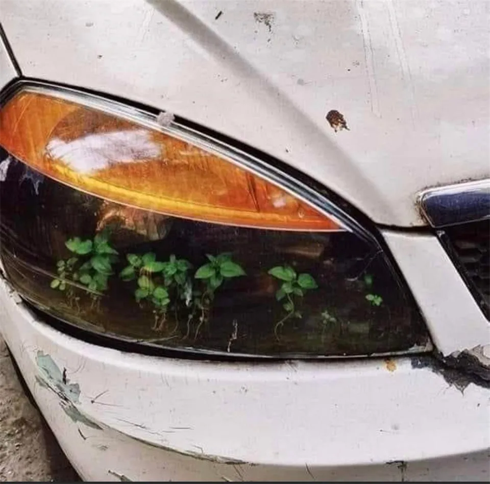 化石 34个被人类遗忘的角落，最终被大自然无情反噬