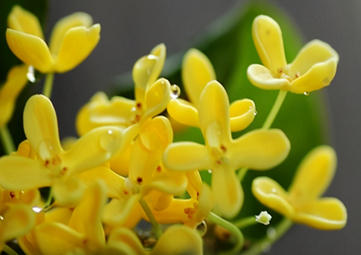 |哪些日子出生的人，职场中能不断学习和进步成长，用实力去突破