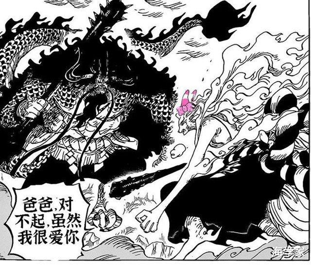 海贼王|海贼王1019话：大和为何死磕老爹可爱多？原来是因为这颗恶魔果实