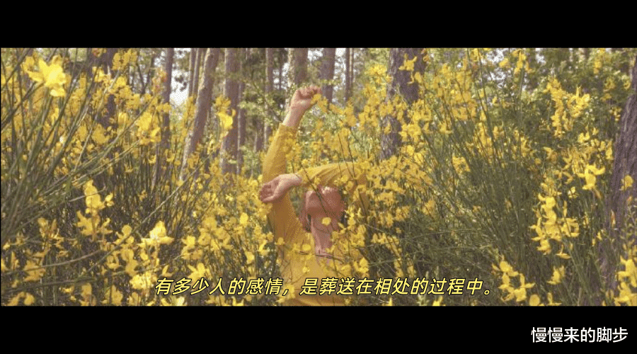 慢慢来的脚步|我也好想被坚定的爱一次啊