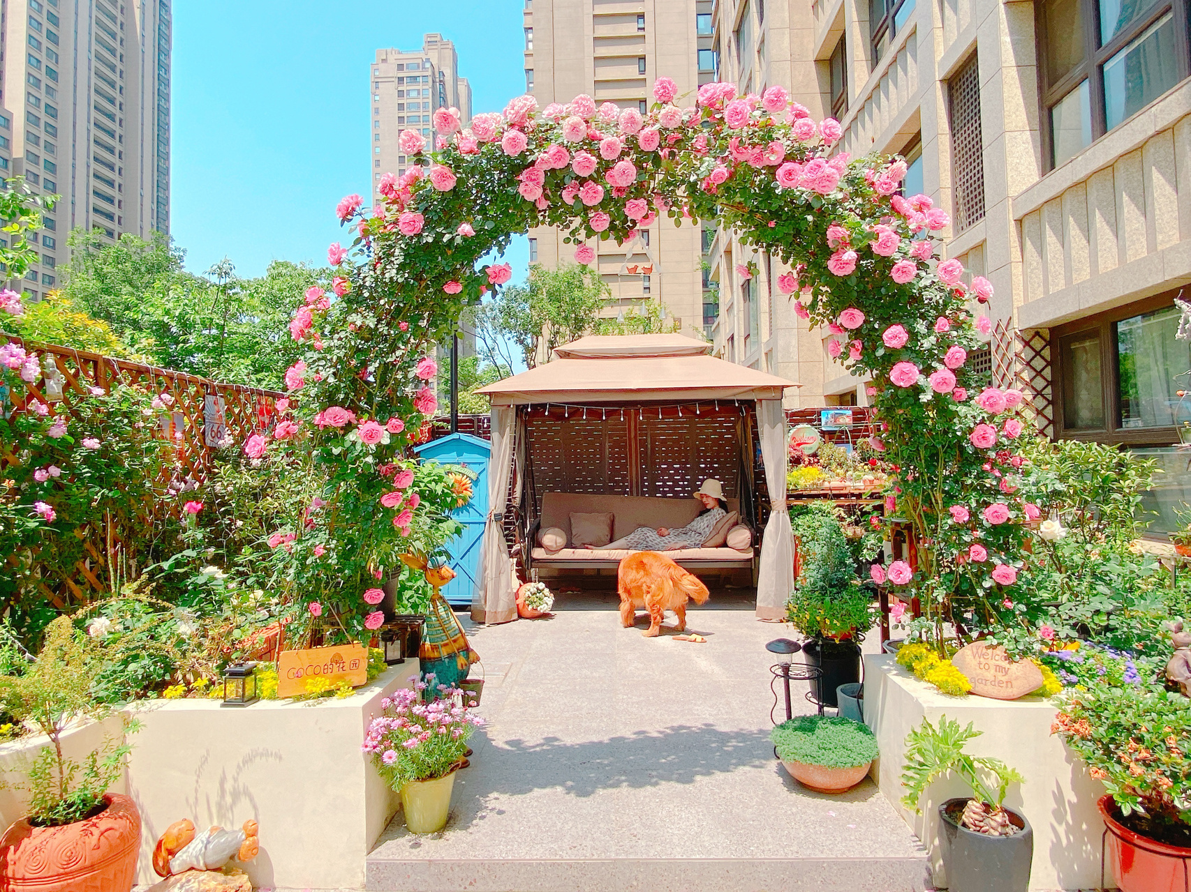 遮阳伞|庭院花园：在喧闹城市，能拥有一个漂亮的院落花园，太让人羡慕了