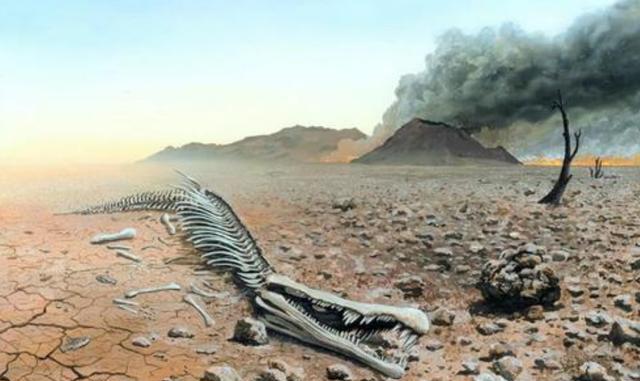 生物大灭绝每6500万年左右出现一次,从时间看,可能刚好轮到人类
