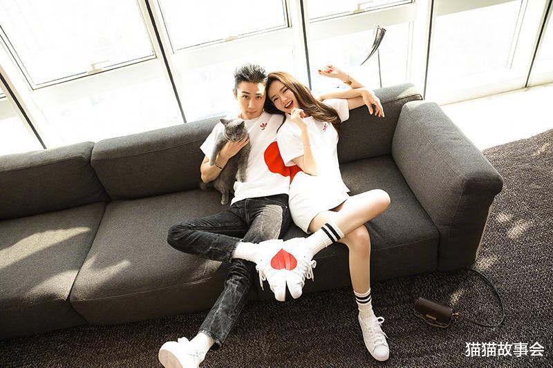 |准婆婆装修太积极，儿媳看穿阴谋，想骗房子？不嫁了