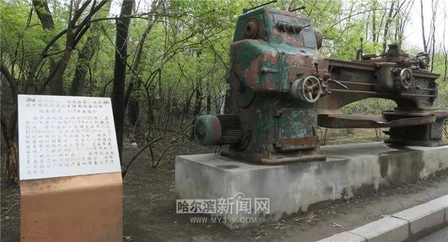 哈尔滨新闻网 好多美图｜景美人少不堵车，香坊10个免费大公园五一来逛逛