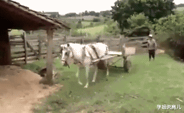 学姐说育儿|“小仙女的脚丫子,原来长着样啊?”终于窥见真容了哈哈哈