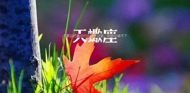 天蝎座|9.6-9.12,迎来双喜的4星座,积极进取,期待事业与爱情开花结果