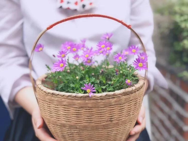 四楼80㎡荒废露台，DIY打造空中小花园，成了朋友们聚会的打卡地