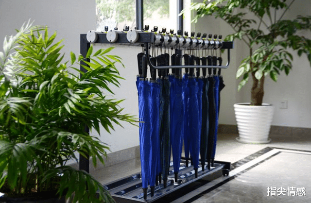 天生丽质|拜拜了“雨伞”，薇娅“掌中伞”一夜成名，40度出门不怕晒