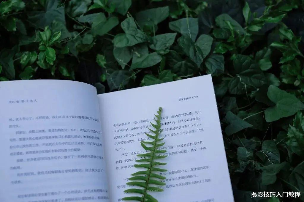 摄影作品|摄影新手怎么快速拍出具有故事感的照片?9个拍照技巧,一学就会