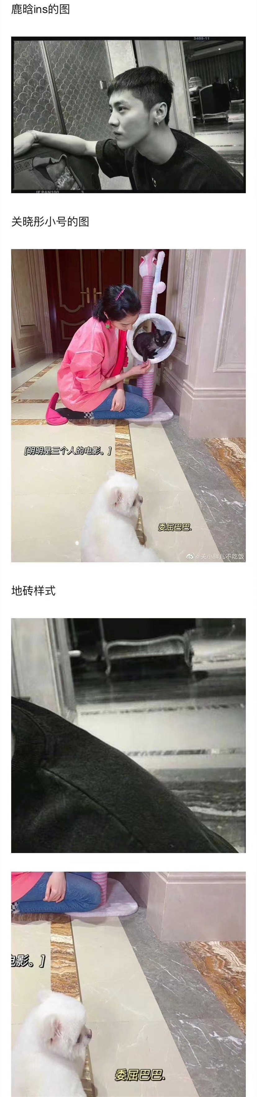 鹿晗|真情侣就是方便！鹿晗在关晓彤家里过夜，大胆晒照不怕粉丝吃醋