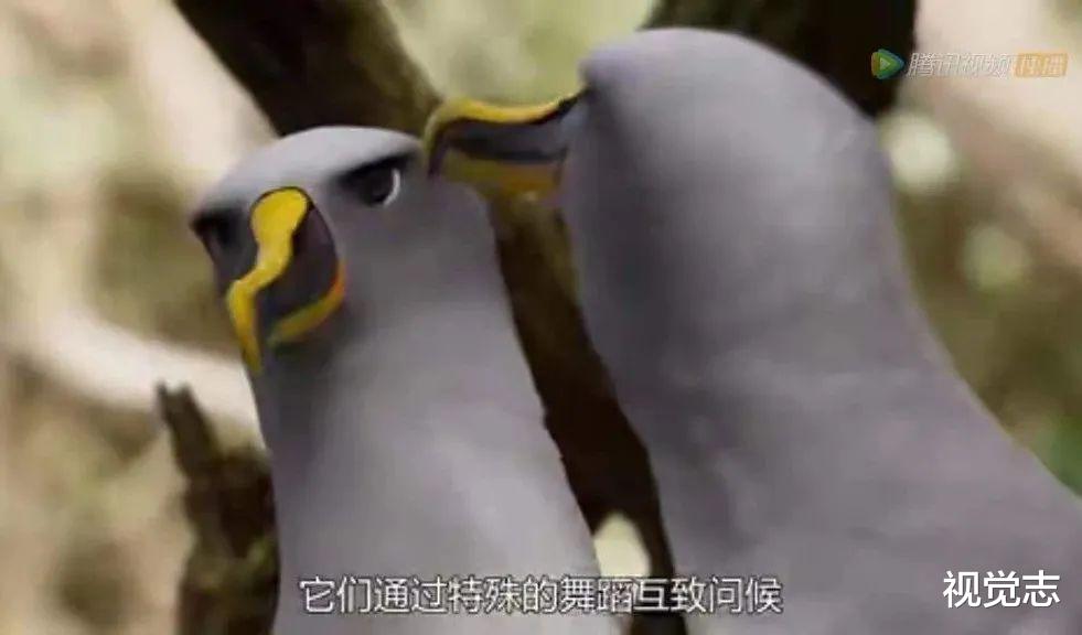 视觉志|令人羡慕的爱情，都违背了天性
