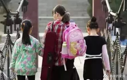 嗨猪的家庭|看完这组30年前的暑假偷拍照,我悄悄换掉了儿子的假期计划表