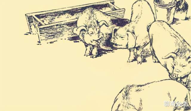 聊斋仙生|民间故事：乞丐上门讨饭，寡妇连忙去吃猪食，因此躲过一劫