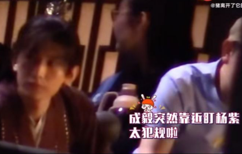 杨紫|撩头发，捶胸口，杨紫和成毅的路透，没想到会这么甜