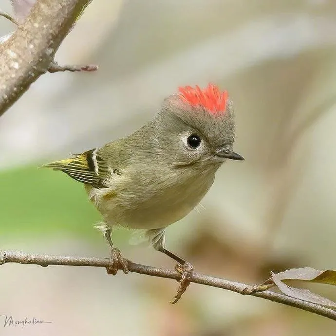 洞洞鞋|夏天穿洞洞鞋的烦恼