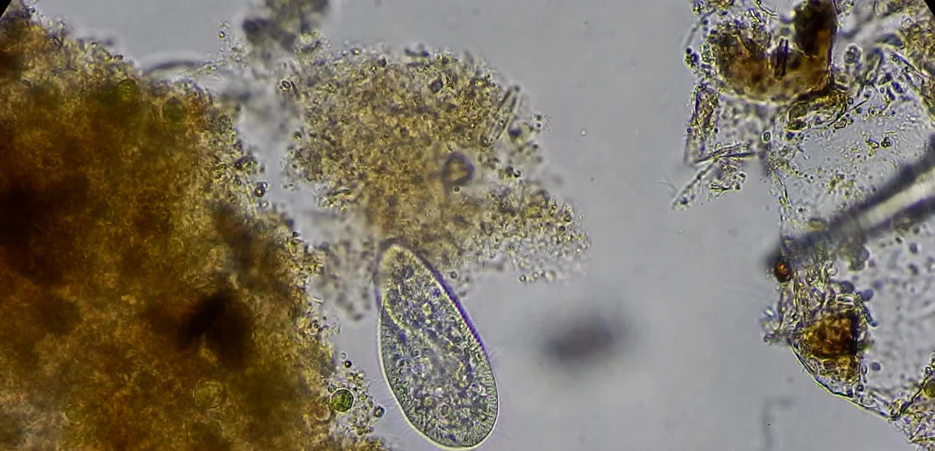 量子力学 冻土的作用是什么?若冻土不断融化,未来人类会迎来怎样的危险?