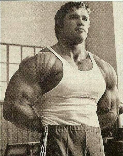 阿诺德·施瓦辛格|施瓦辛格的错有多愚蠢：肯尼迪家的女儿嫁给他，他却出轨肥胖保姆