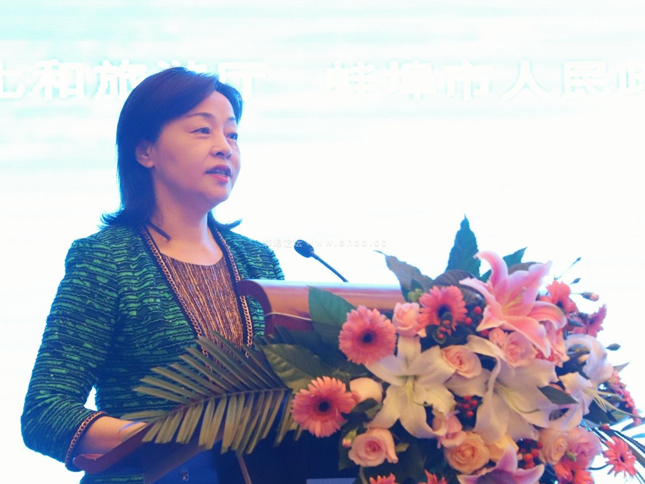 蚌埠论坛 “美好安徽·风情淮河”宣传推广活动在蚌隆重启动