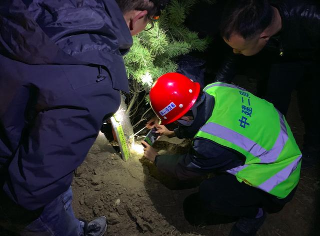 北京日报客户端 雄安新区西北部：大数据“绣”出千年秀林