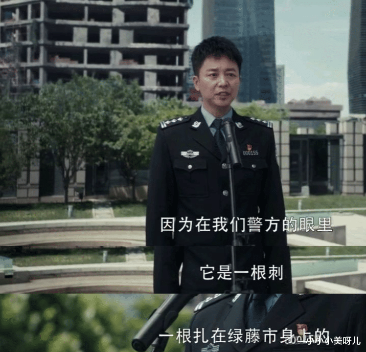 小小小美呀儿|《扫黑风暴》大结局