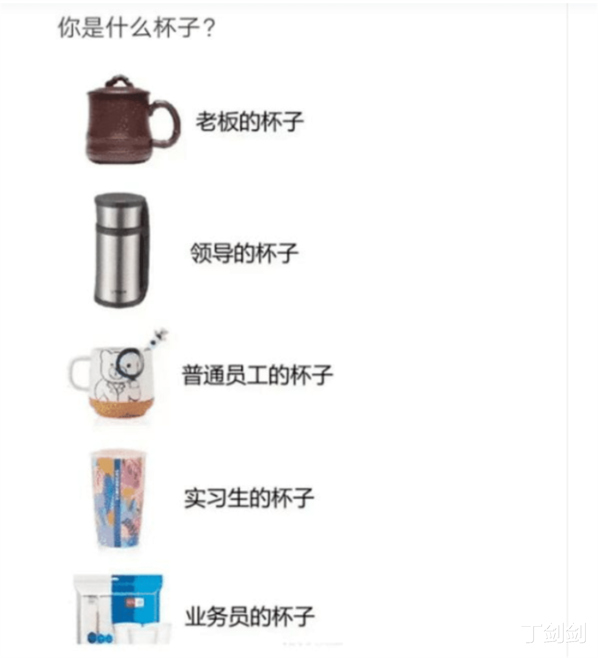 丁剑剑|“如果给你十厘米，你愿意把它加在哪里呢？”网友评论太优秀了！哈哈哈