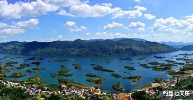 湖北|禁渔后大鱼泛滥！湖北“五湖”将捕鱼1800万斤，垂钓者能否参与其中？