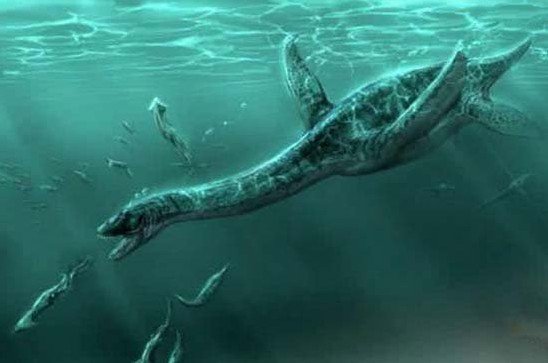 青海湖 ?青海湖水怪之谜：科学家推测不是蛇颈龙