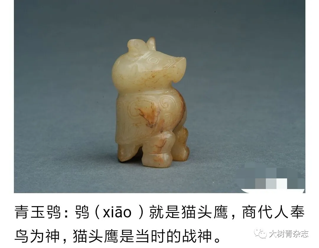 画画熊 青玉鸮的来源