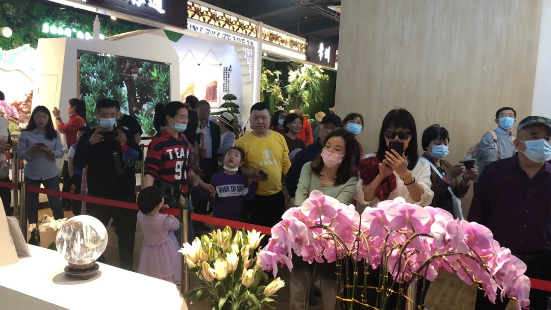 連云港手機臺 驚艷！連云港館閃耀揚州世園會