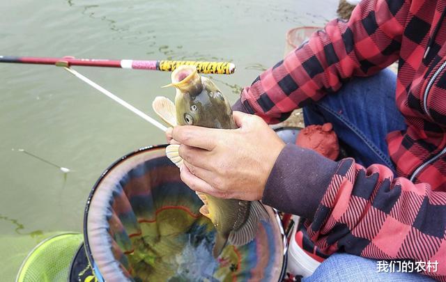饵料|资深钓友教你几个绝招 ，夏天钓鱼又快又准又多又大