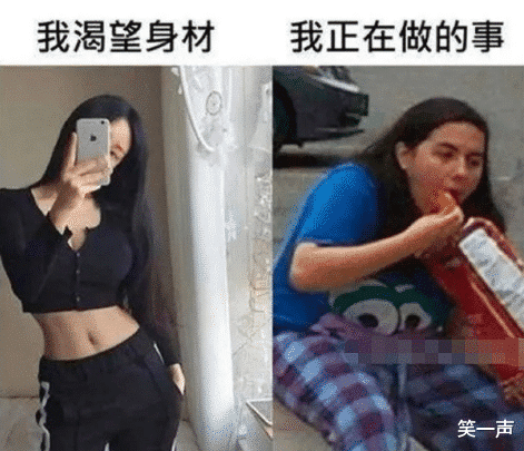 |“明人不说暗话，我就是群主，我的主食就是小笼包！”哈哈哈哈