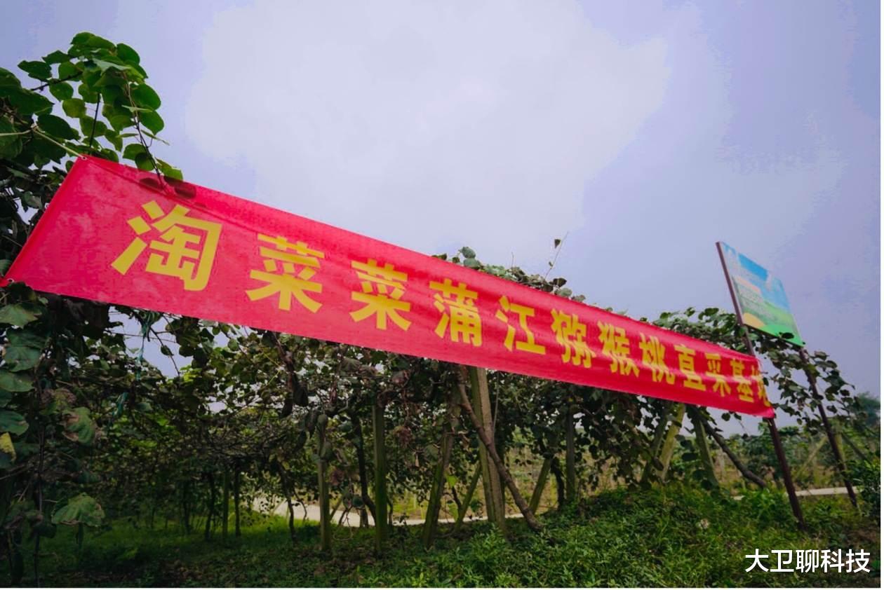 阿里巴巴|2021年仅剩一周,马云开启“开挂”模式,阿里拿下4个世界第一