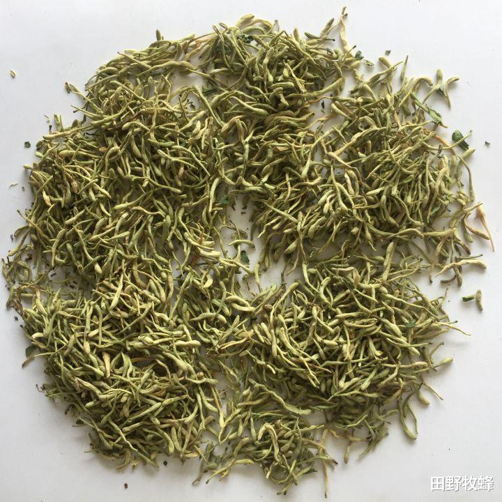 田野牧蜂|金银花和蜂蜜一起喝有什么作用? 金银花泡蜂蜜的功效与作用