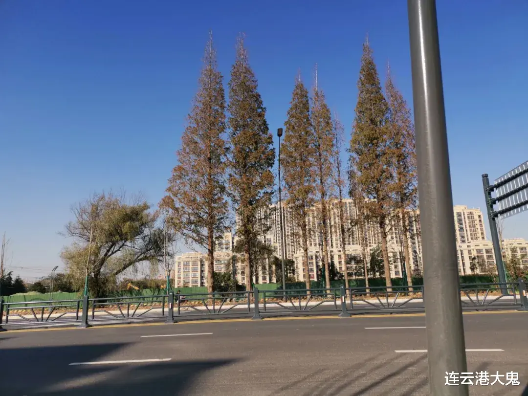 望城|连云港赣榆学府名苑南侧地块土拍结果出炉，被万象集团成功竞得