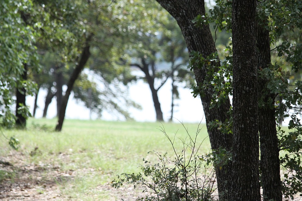 盛夜霄的星座解说|一些思念至极的爱情文案，句句充满伤感，却句句带着坚强