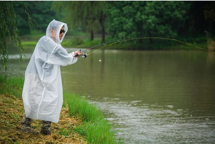 饵料|鱼口不好，只能干瞪眼？牢记这个四个方面，让您少走弯路，莫不信