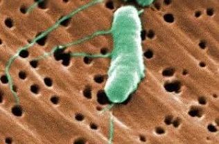 虚拟货币 吃了这道时鲜菜，男子突然发烧要截肢！