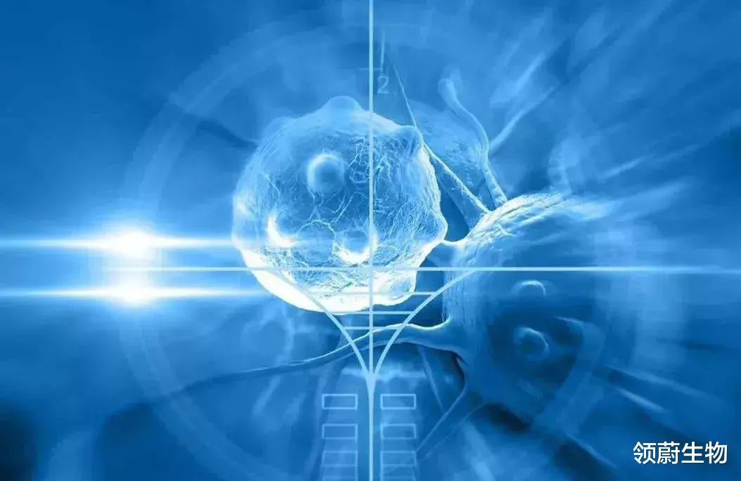 航天员 干细胞治疗中重度宫腔粘连，使患者成功受孕