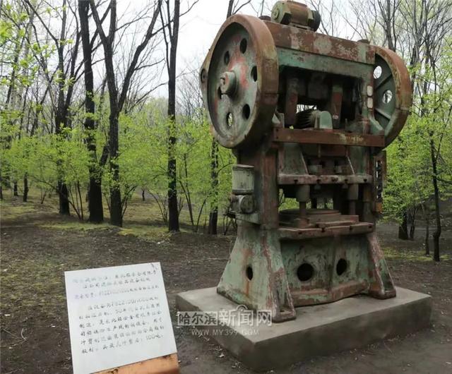 哈尔滨新闻网 好多美图｜景美人少不堵车，香坊10个免费大公园五一来逛逛