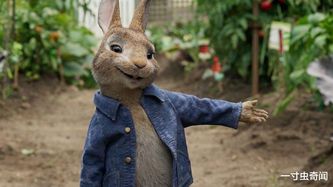 兔子 24只兔子61年繁殖百亿，味美又能生的兔子，咋就没成人类主要肉食