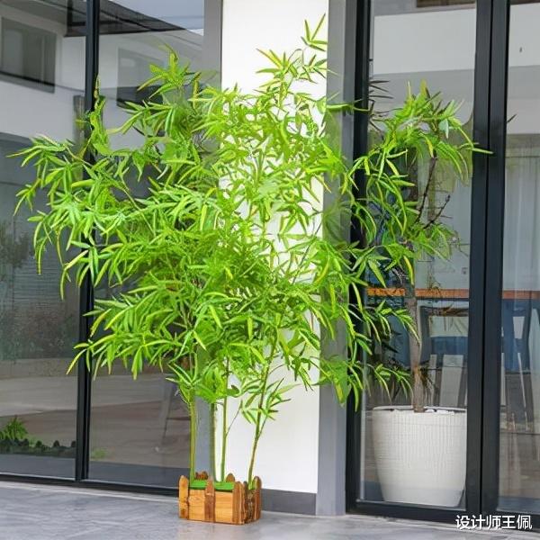 入户门正对着卫生间，会影响家里的“风水”？其实很轻松就能解决