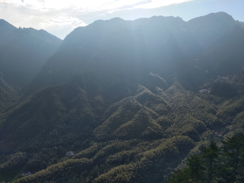 社会鉴赏 备受崇敬的地藏王菩萨，其历史原型原来是韩国人
