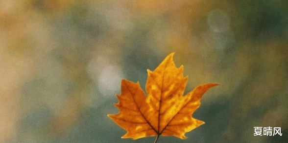 夏晴风 年过三十,你要懂得:钱品好的人,人品不会差