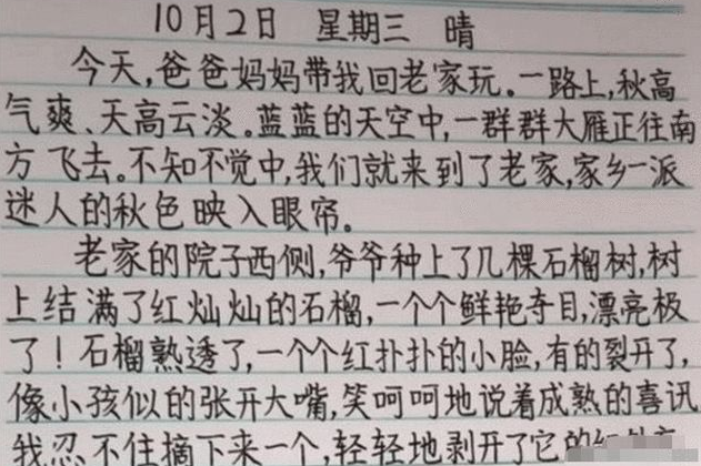 大树说教育|考试出现“神仙卷面”，好像吃了“打印机”，老师看后不忍扣分