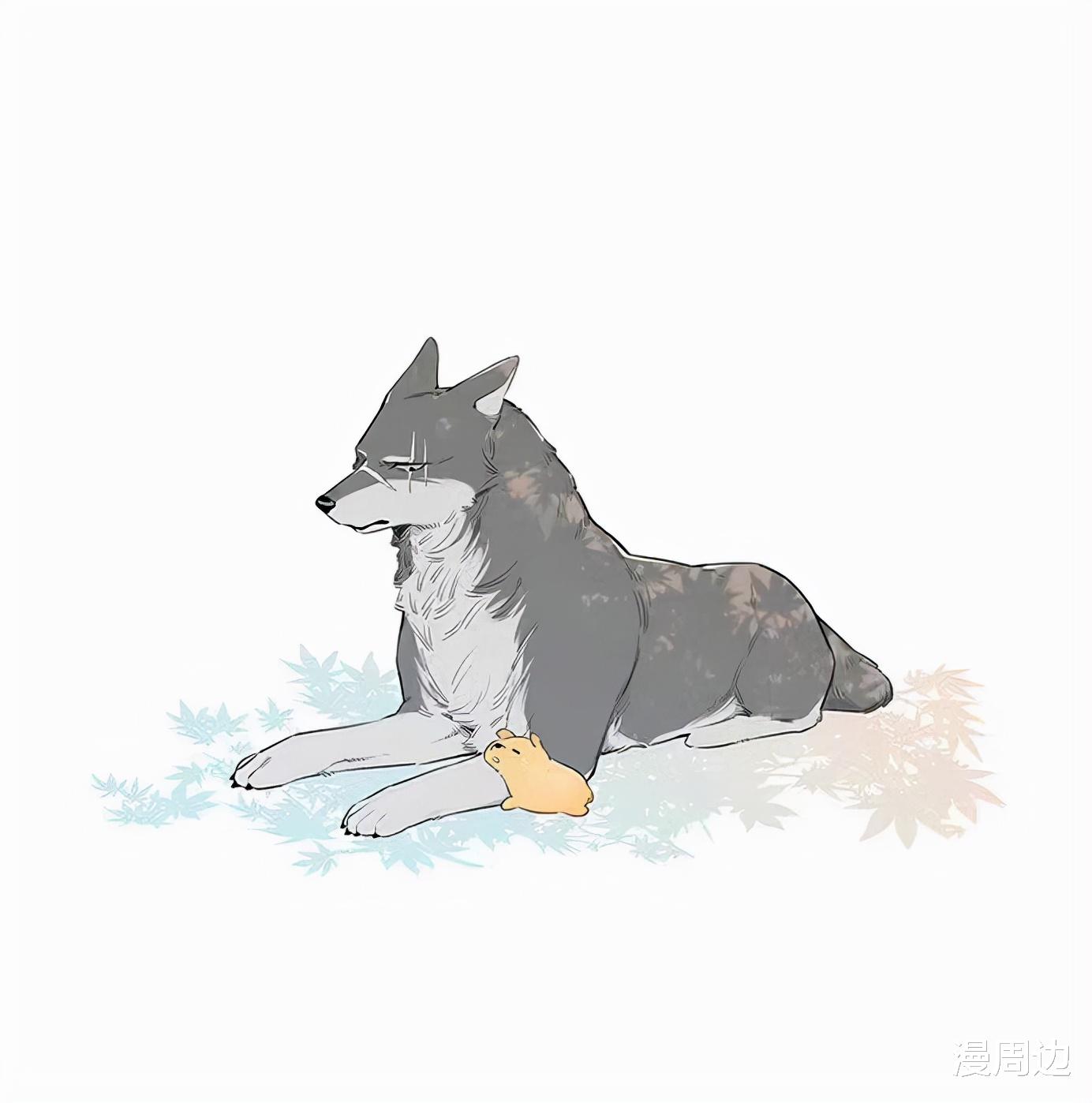 acgn漫评|「漫画」狼王:动物版VS拟人版