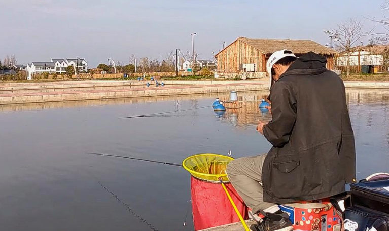 饵料|垂钓鲫鱼和鲤鱼，在钓法、钓饵等方面的差异