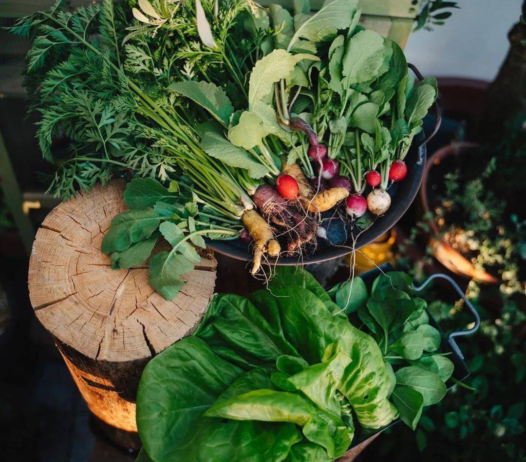 精致女人导师晓聪|最有情调的生活，可以这样过~